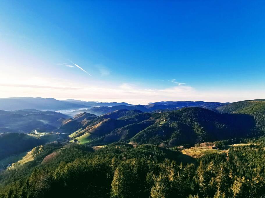 Traumhafte Maisonette-Wohnung Im Schwarzwald Freudenstadt Ngoại thất bức ảnh