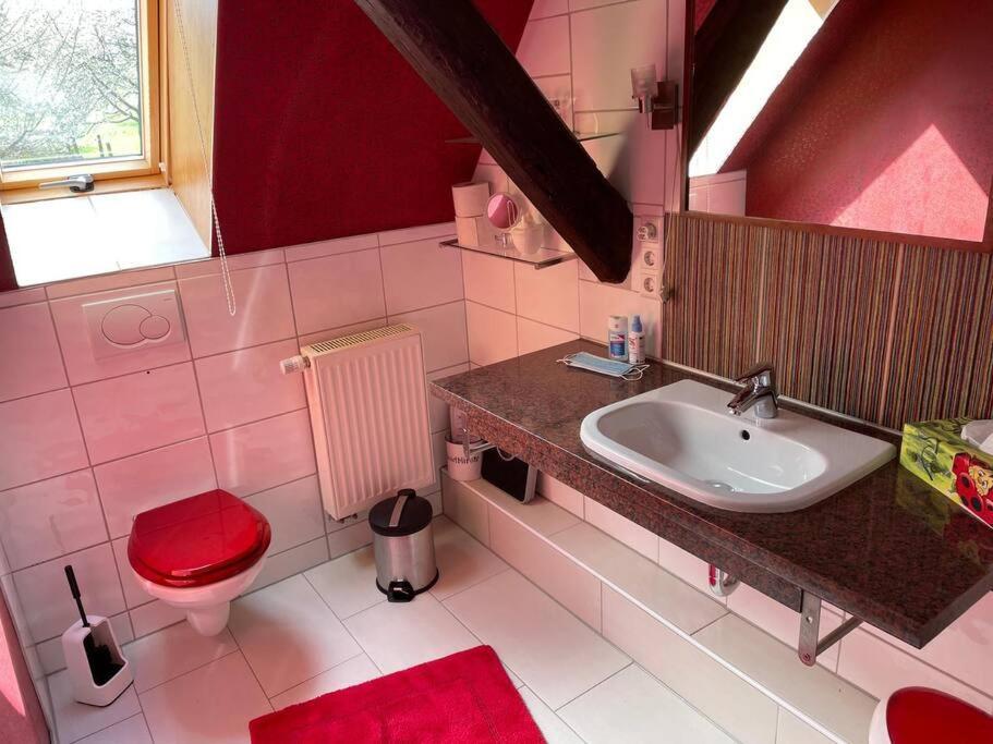 Traumhafte Maisonette-Wohnung Im Schwarzwald Freudenstadt Ngoại thất bức ảnh